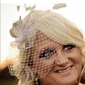 Birdcage Wedding Veil